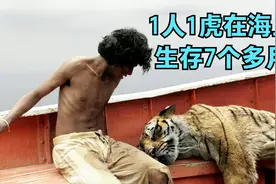 用温柔的方式，讲述内心的哲学，深度解读《少年派的奇幻漂流》视频封面