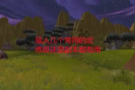 魔兽世界怀旧服：猎人几个常用的宏，练级还是副本都有用视频封面