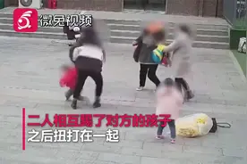 两孩子玩闹摔倒，家长互踢对方小孩！民警赶来又被掌掴！视频封面