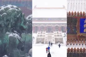 视觉享受！故宫博物院官方发布视频 60秒看2021年冬紫禁城初雪视频封面