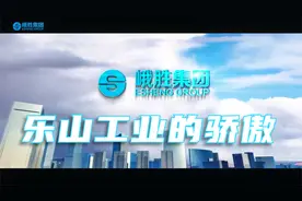 四川民营工业100强——峨胜集团简介绍，乐山工业代表企业视频封面