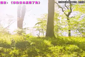 一代歌后田震演唱的《你的目光温暖了我》，歌声伤感入心，经典！