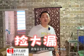 1000块买了26只黄缘苗，这个算不算捡漏？视频封面