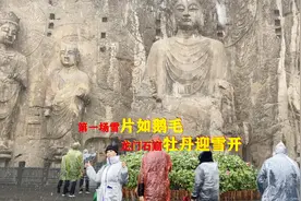 洛阳今年第一场雪大如鹅毛，龙门石窟内牡丹花迎雪而开被游客围观视频封面