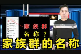 家族群的名称