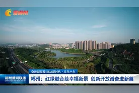 非凡十年 郴州：红绿融合绘幸福新景  创新开放谱奋进新篇视频封面