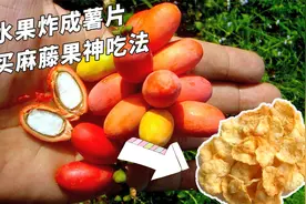 把水果炸成薯片，东南亚买麻藤果神吃法视频封面