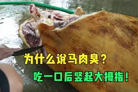 为什么说马肉臭？小伙花巨资购买一匹马，吃一口后竖起大拇指！视频封面