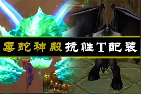 【坏木杨】毒蛇神殿抗性T配装指南 - T5扫荡者视频封面