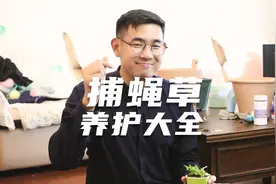 园艺师教你养捕蝇草，这可能是关于捕蝇草，最全面的教程了视频封面