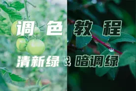 【摄影教程】Lr简单几步调出好看的绿色调，小白也可以直接上手