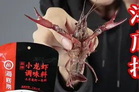 用海底捞小龙虾调料做出来的小龙虾味道怎么样？这下吃的太饱了视频封面