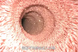当药吃进肚子里,在体内会经历什么,3分钟了解止疼药的原理！视频封面