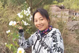 农村这种野果“金樱子”，花能做美食果实可以泡酒，真是好处多多视频封面