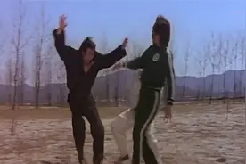 群英会：黄家达，田俊，金昌淑主演作品，这段过瘾，值得一看！视频封面