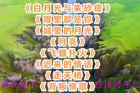 白月光与朱砂痣。哪里都是你。城里的月光。月亮。飞蛾扑火视频封面