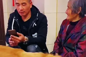 奶奶干活把脚给弄脏了，金毛豆豆心疼奶奶，主动拿盆给奶奶洗脚视频封面