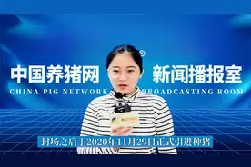 城市养猪首选模式——楼房猪场！这家种猪场顺利投产运营！视频封面
