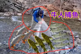 牛人河里捕鱼新方法，这一招原来水陆通用，竟比撒网效果还好视频封面