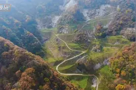 《条例》颁布3周年！“万人淘金”不复返，小秦岭漫山已复绿！视频封面