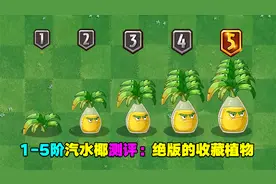 1-5阶庆典汽水椰测评：绝版收藏植物，也是废卡植物？视频封面
