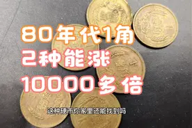 麦穗1角硬币你家还有吗？有2种能涨10000多倍，快找找视频封面