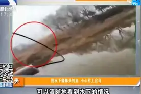 用水下摄像头钓鱼，小心惹上官司视频封面