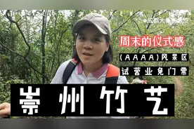 走进四川崇州无根山竹艺公园，（AAAA）风景区10月试营业，免门票视频封面