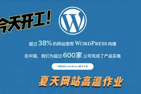 wordpress主题程序插件，woocommerce高级主题，数据导入通用教程视频封面