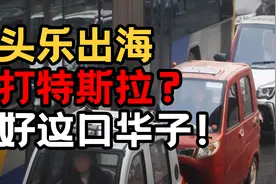 930美元的精神老头乐，国内法外狂徒，国外最强福音【曹小灵】视频封面