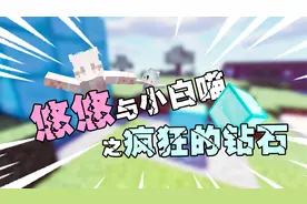 第7集  疯狂的钻石视频封面