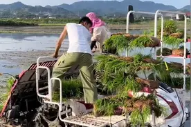 湖南农大学姐开农机“硬核”推荐母校，网友看完蠢蠢欲动视频封面