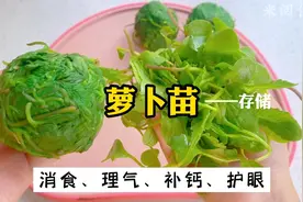 中医看食材｜萝卜苗｜消食｜理气｜补钙｜护眼视频封面