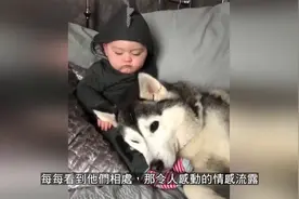 让一个孩子快速成熟的方式，就是给他找一个好伙伴视频封面