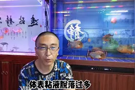 鱼缸的水质出现生物性白浊，会有哪些原因，应该如何处理？视频封面