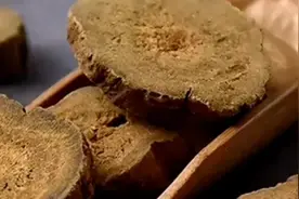 老中医分享中医奇方，济生乌梅丸，治疗息肉有奇效