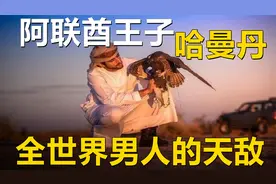 阿联酋王子的富豪生活，全世界男人都嫉妒的天敌：哈曼丹视频封面