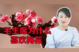 毛主席喜欢梅花，因为梅花既有斗争精神，又有奉献精神视频封面