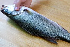 想吃烤鱼不用去饭店，做法配方告诉你，香辣入味，学会做给家人吃