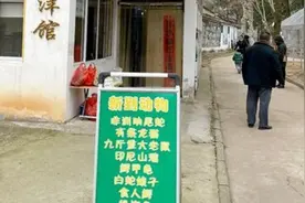 安庆动物园被曝有九斤重大老鼠？园方：变异老鼠，下崽去了视频封面