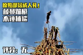原始部落成人礼！藤蔓蹦极！木锤捕鲨鱼！视频封面