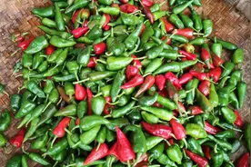 制作泡椒有诀窍，不加酱油不加一滴水既爽口又开胃放一年都不会坏视频封面