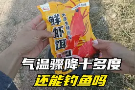 鲜虾饵钓鱼行不行？小伙野钓实测：气温骤降10度能招来鱼吗？视频封面
