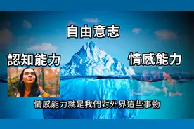 【神秘】“我”其实根本不存在，“被动意识”假说| 老高与小茉