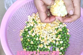 丰豆的最新吃法，不仅营养还能减肥，你是这样吃的吗？视频封面