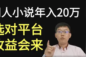 同人小说年入20万心得总结：让小说平台滚远，再善待每个读者视频封面