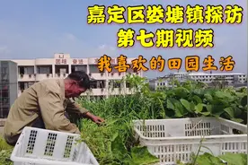 上海郊区农民，每年收房租14万退休工资7万，生活不比市区差视频封面