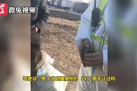 禁行！邯郸地区各高速公路省界出省方向冀A、冀E车辆禁止通行视频封面