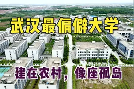 探访武汉最偏僻大学，黄陂区第一所大学，竟然建在农村！太荒凉了视频封面