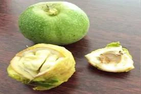 轻松解决染手的问题，清洗核桃汁的小妙招，你学会了吗